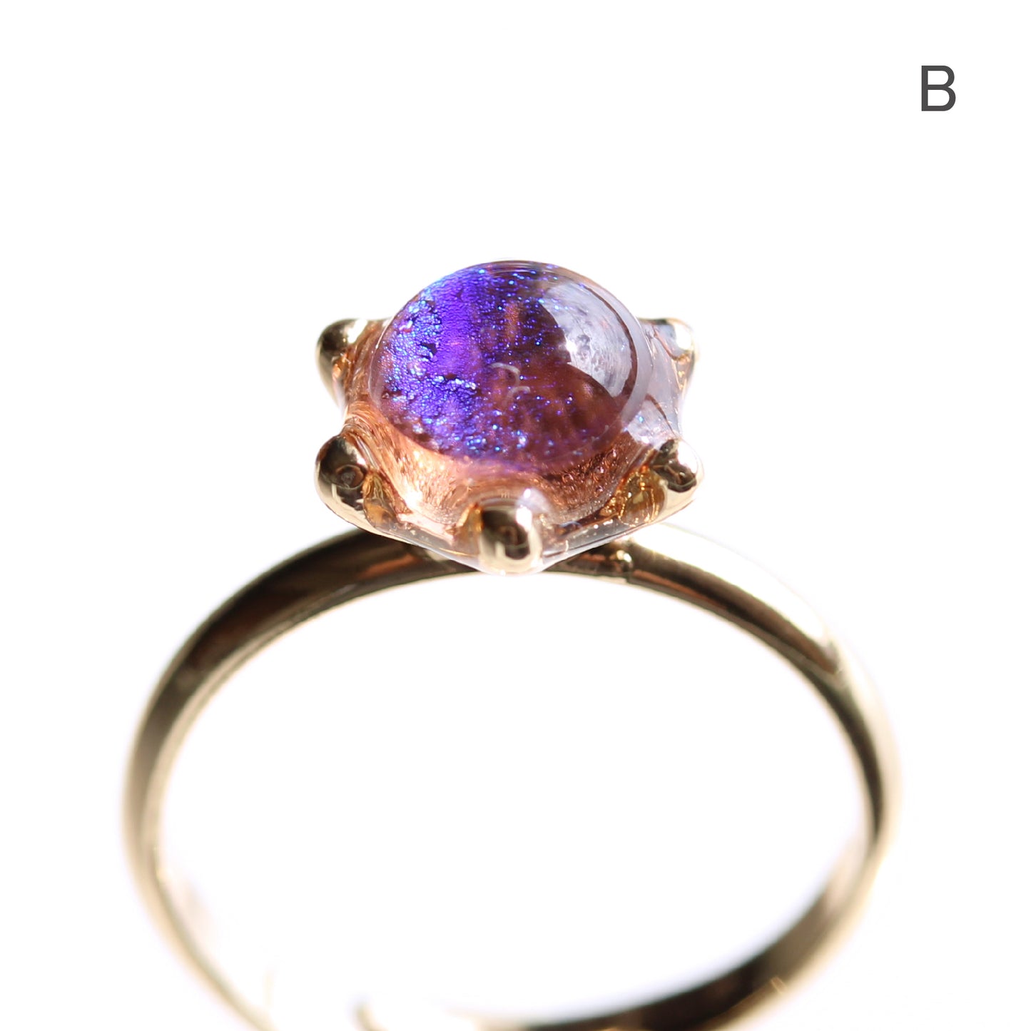 glass ring microcosm