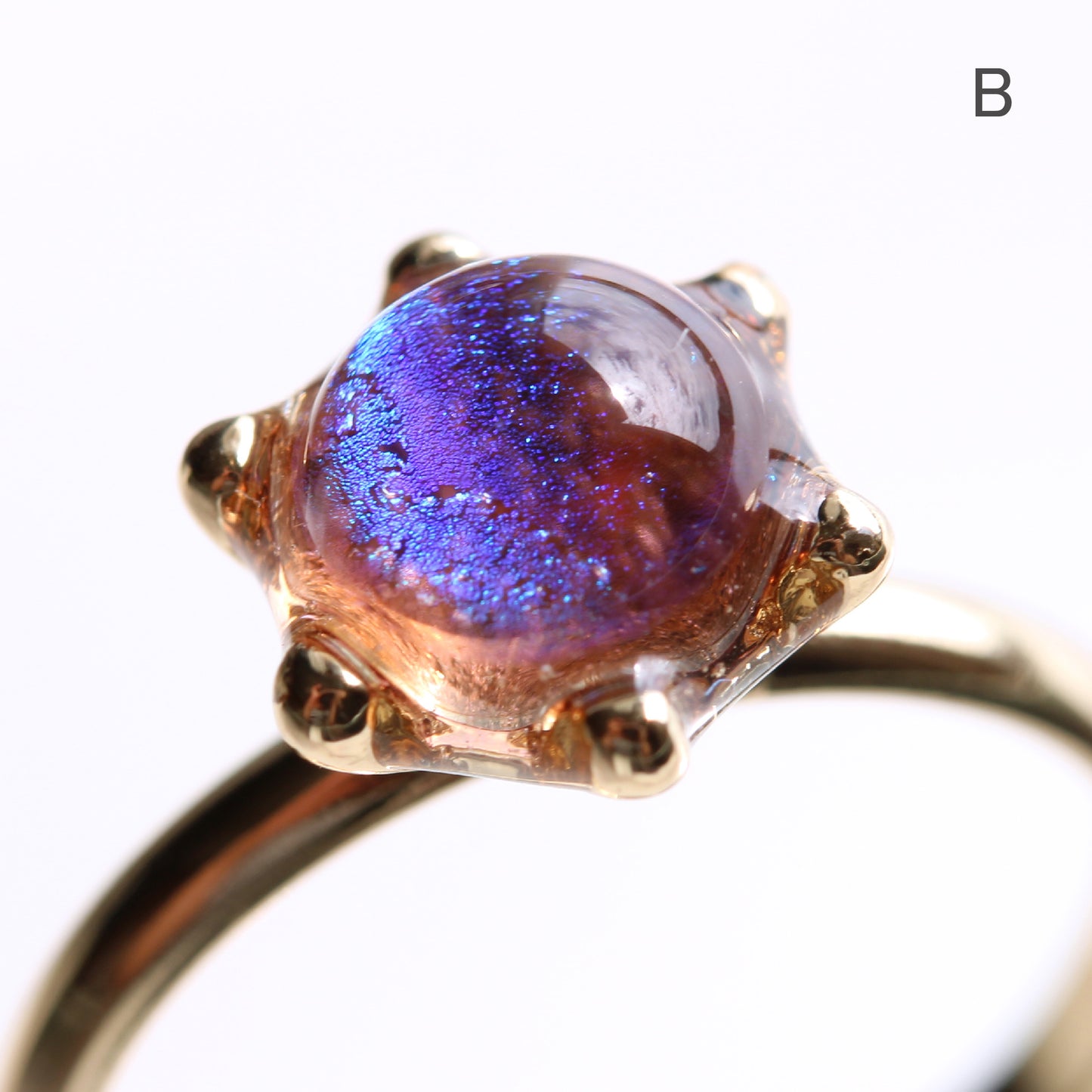 glass ring microcosm