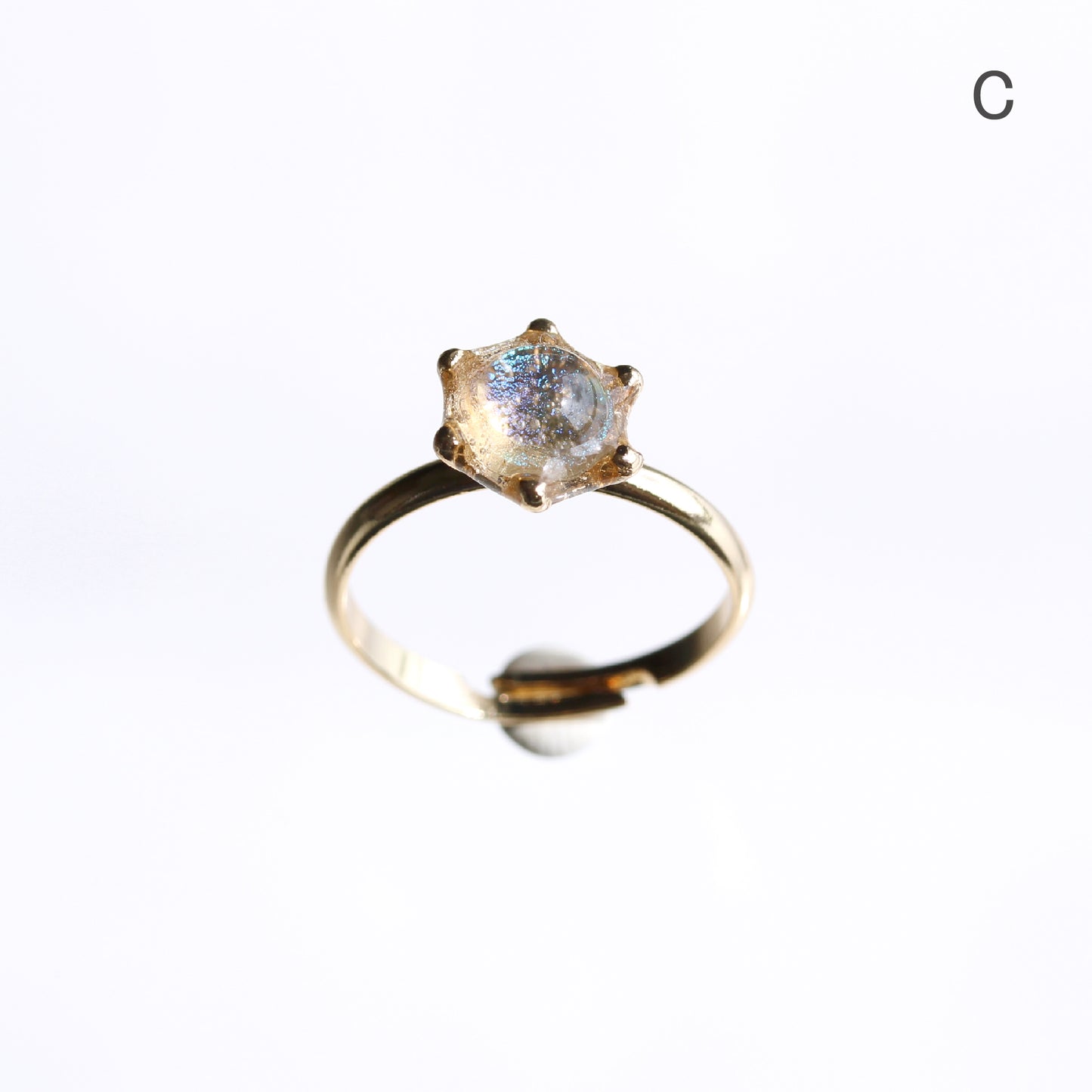 glass ring microcosm