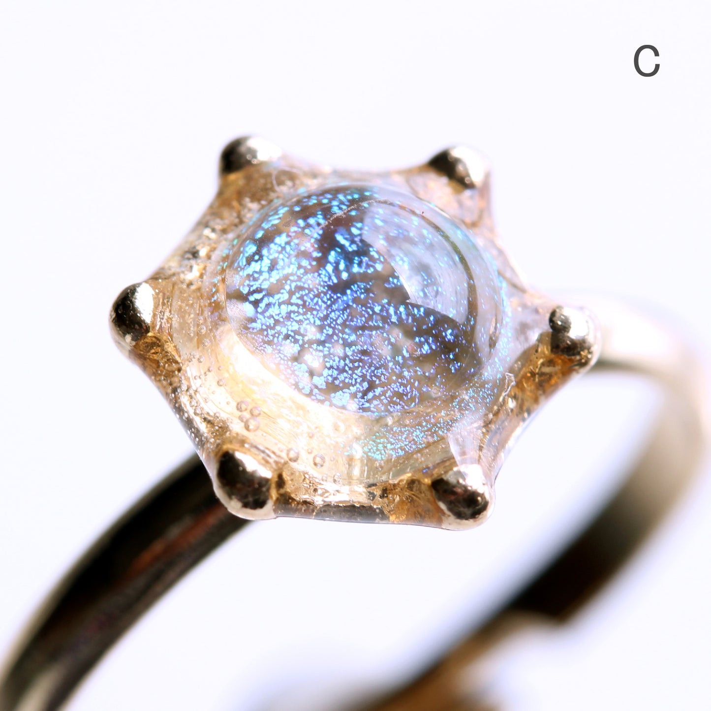 glass ring microcosm