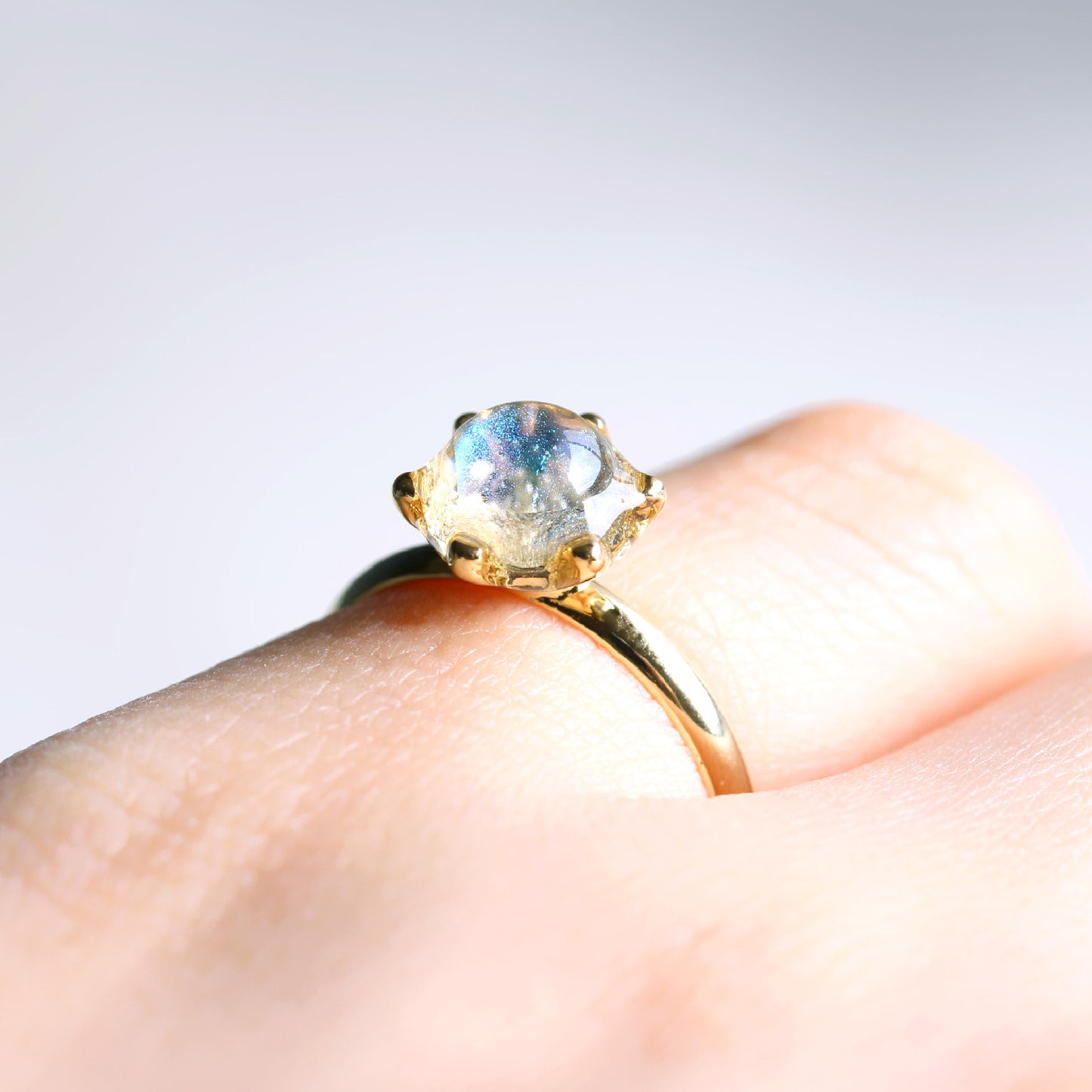 glass ring microcosm