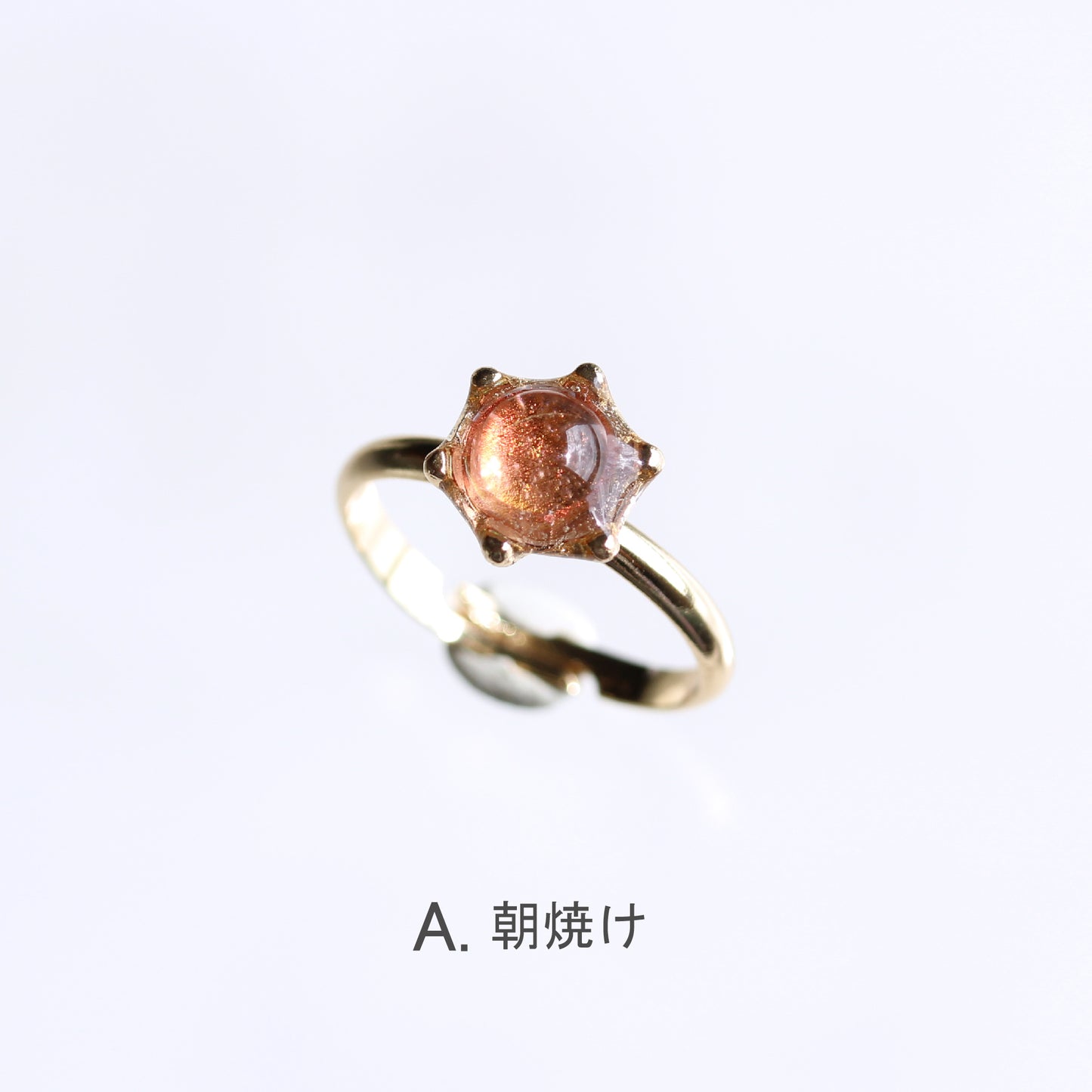 glass ring microcosm