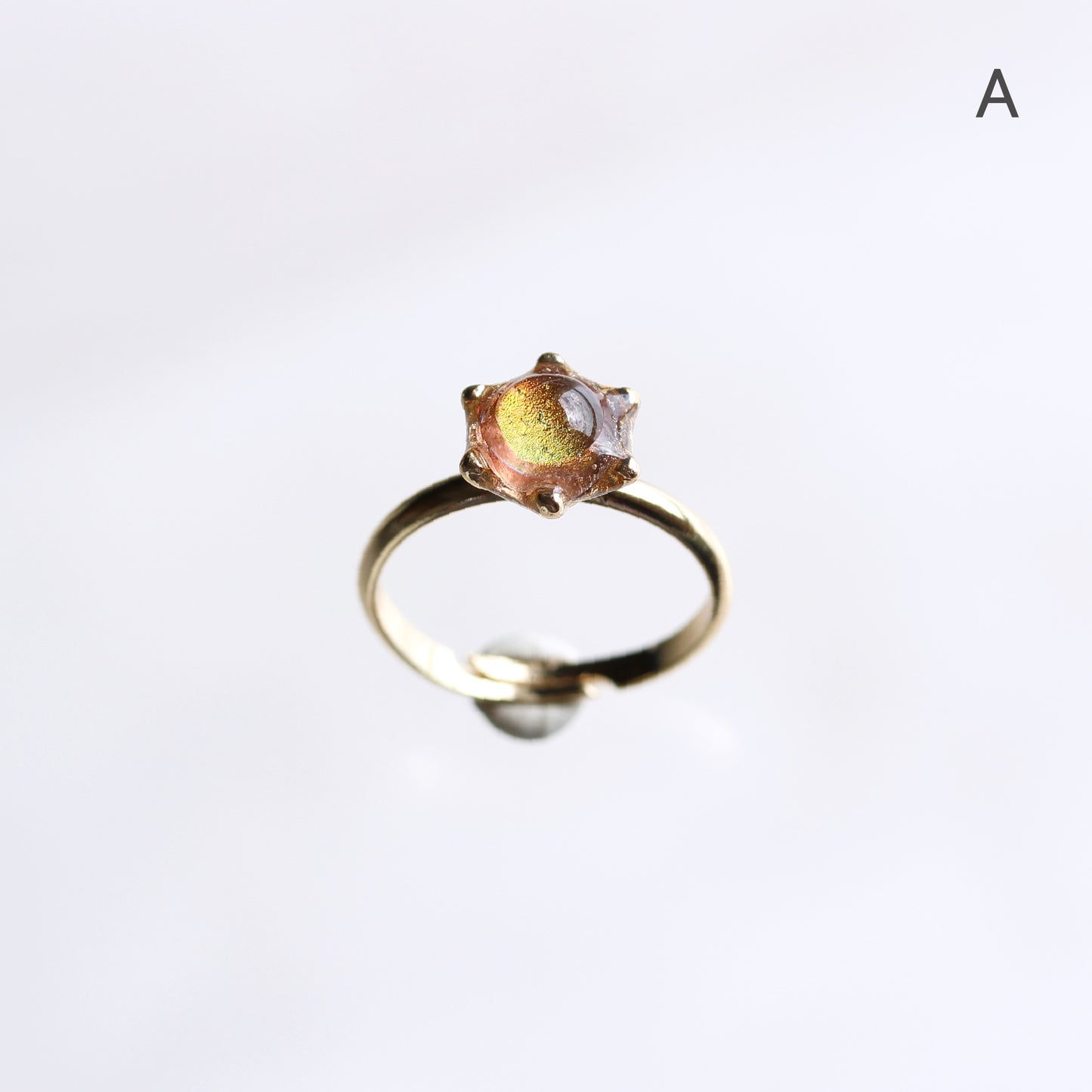 glass ring microcosm
