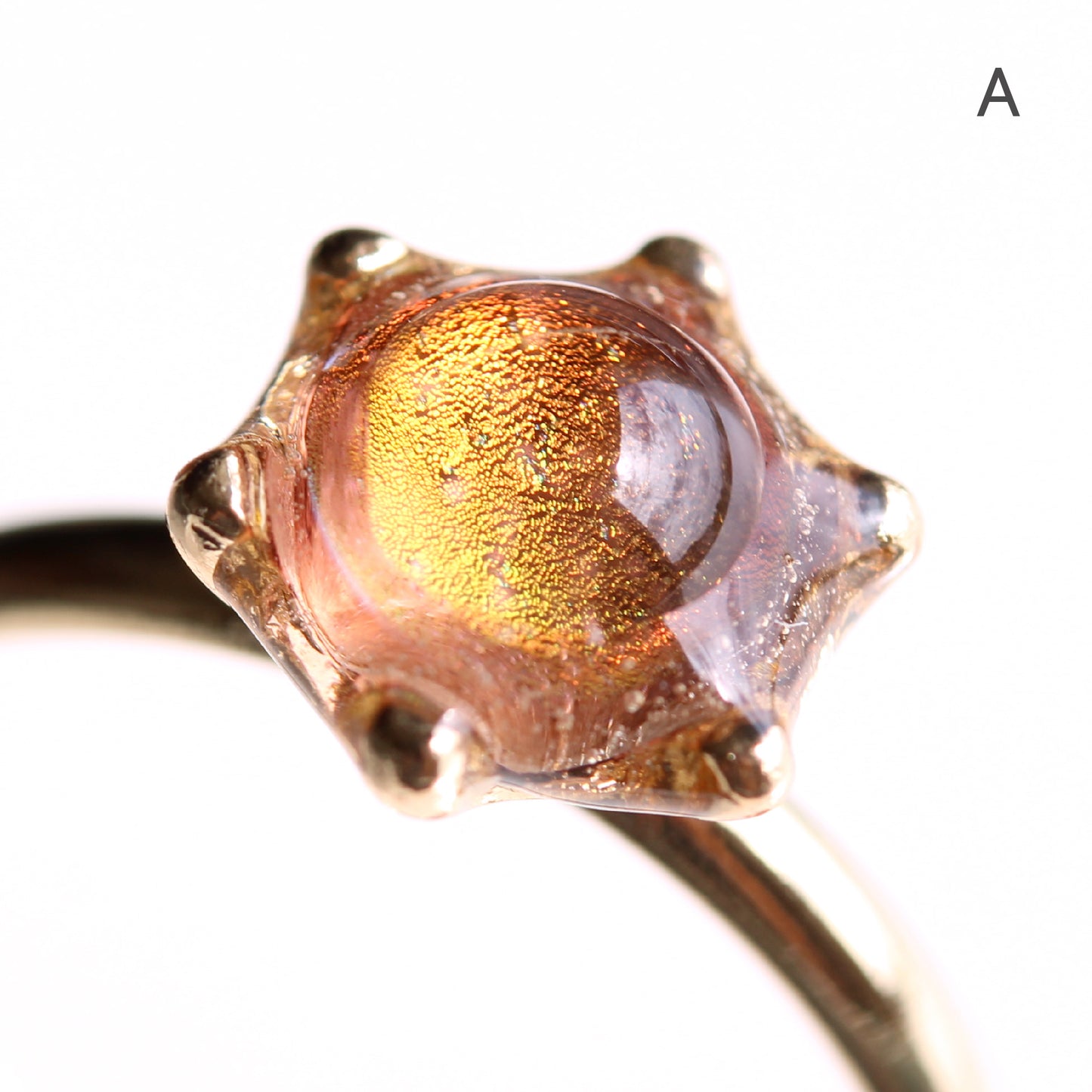 glass ring microcosm