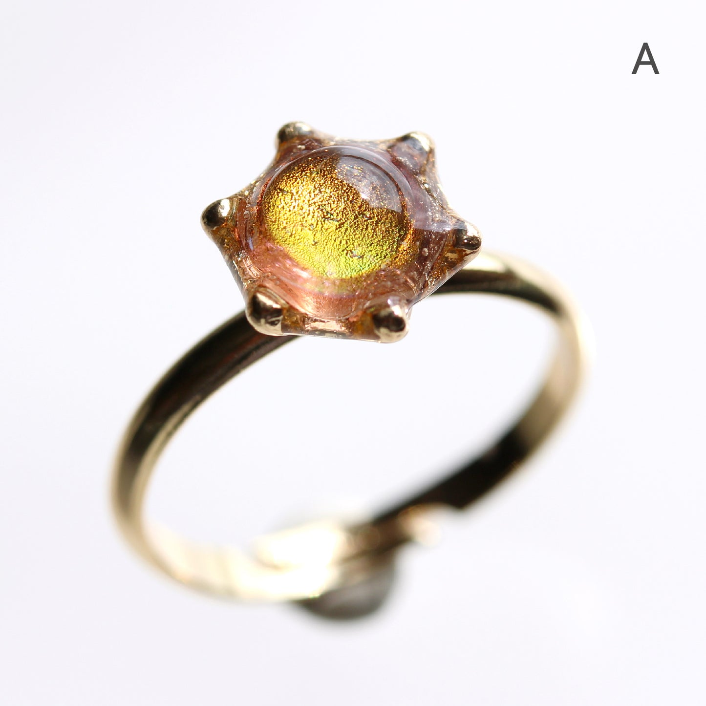 glass ring microcosm