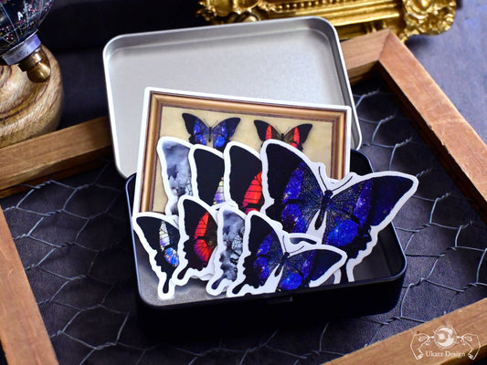 星蝶標本 缶ケース&ステッカーセット