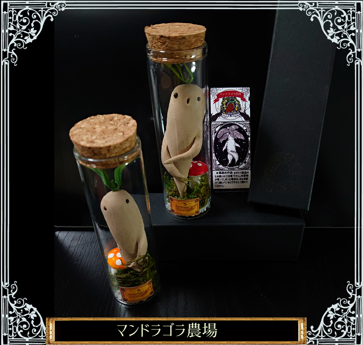 キノコとマンドラゴラの瓶詰め