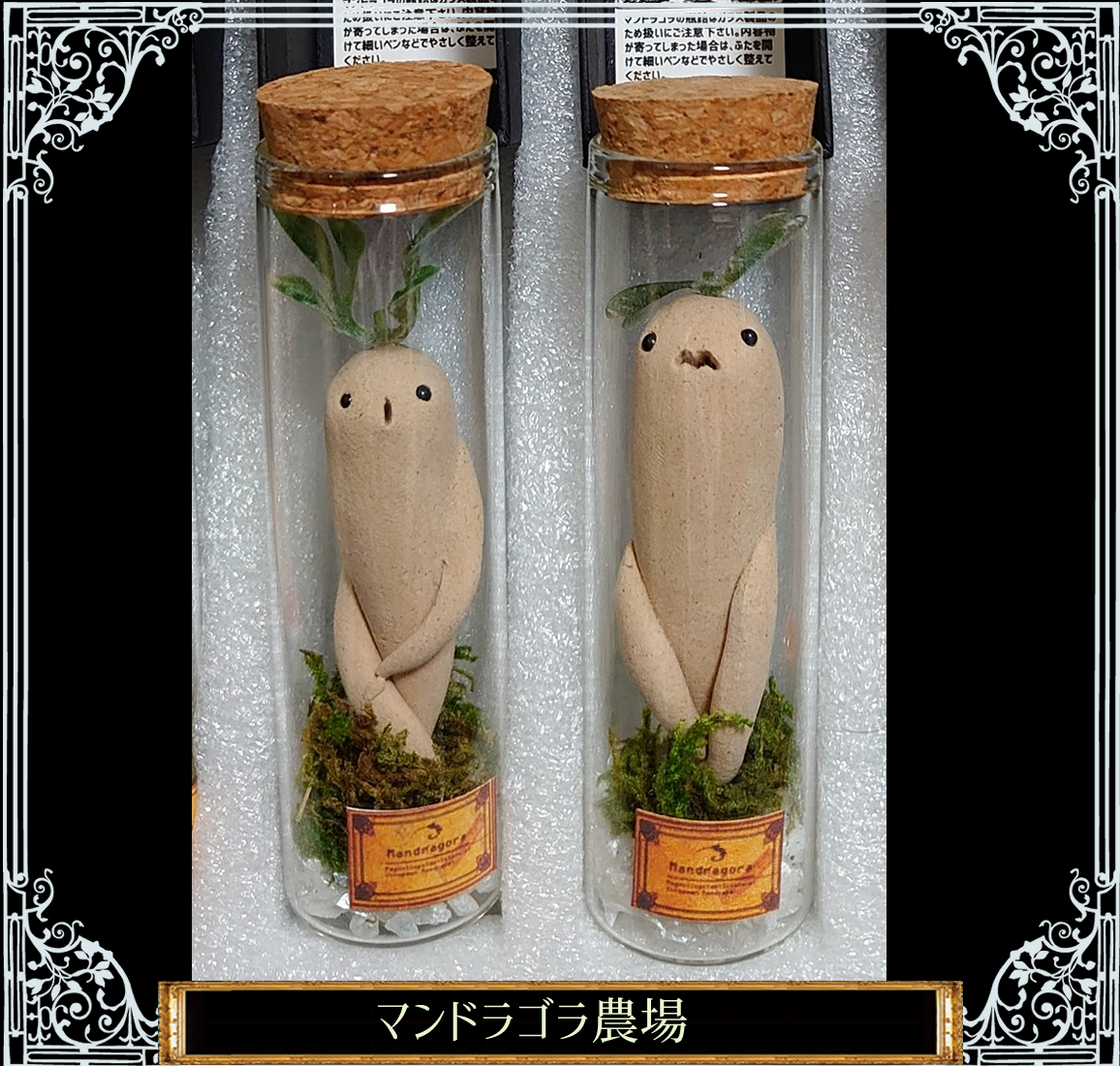 マンドラゴラの瓶詰め