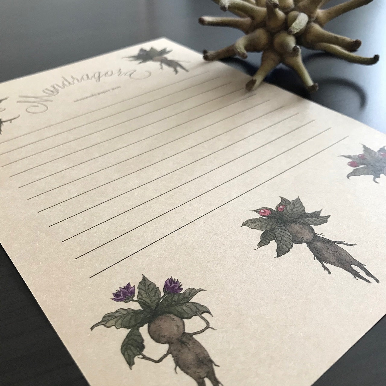 マンドラゴラズ レターセット