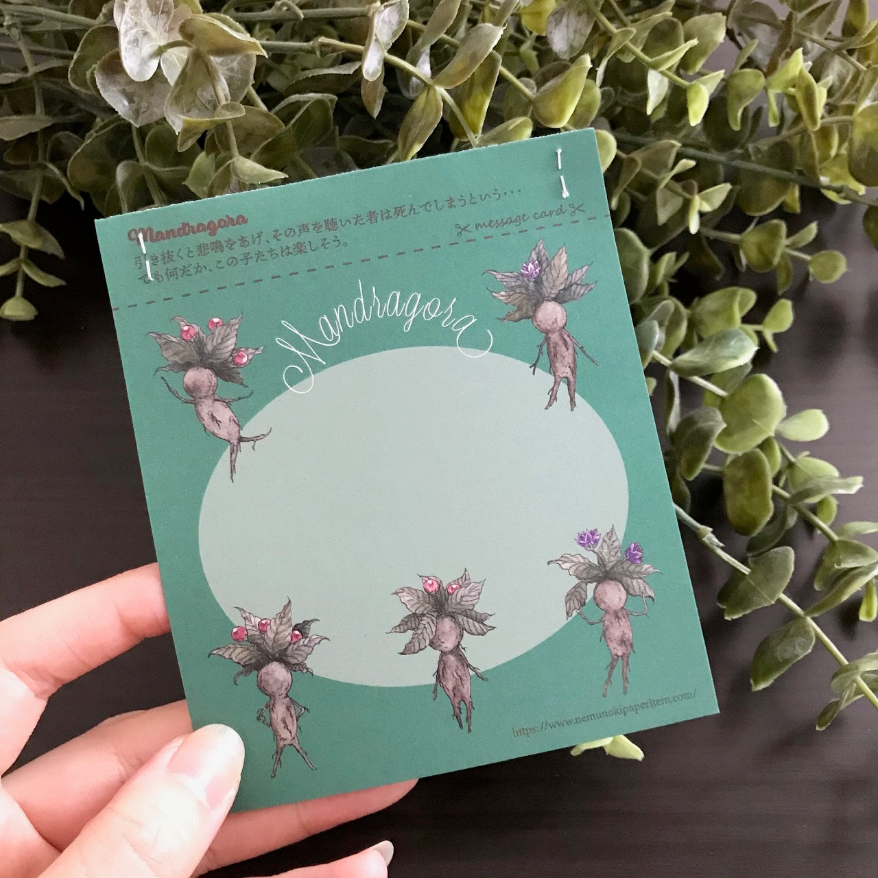 マンドラゴラズ ペーパーステッカー