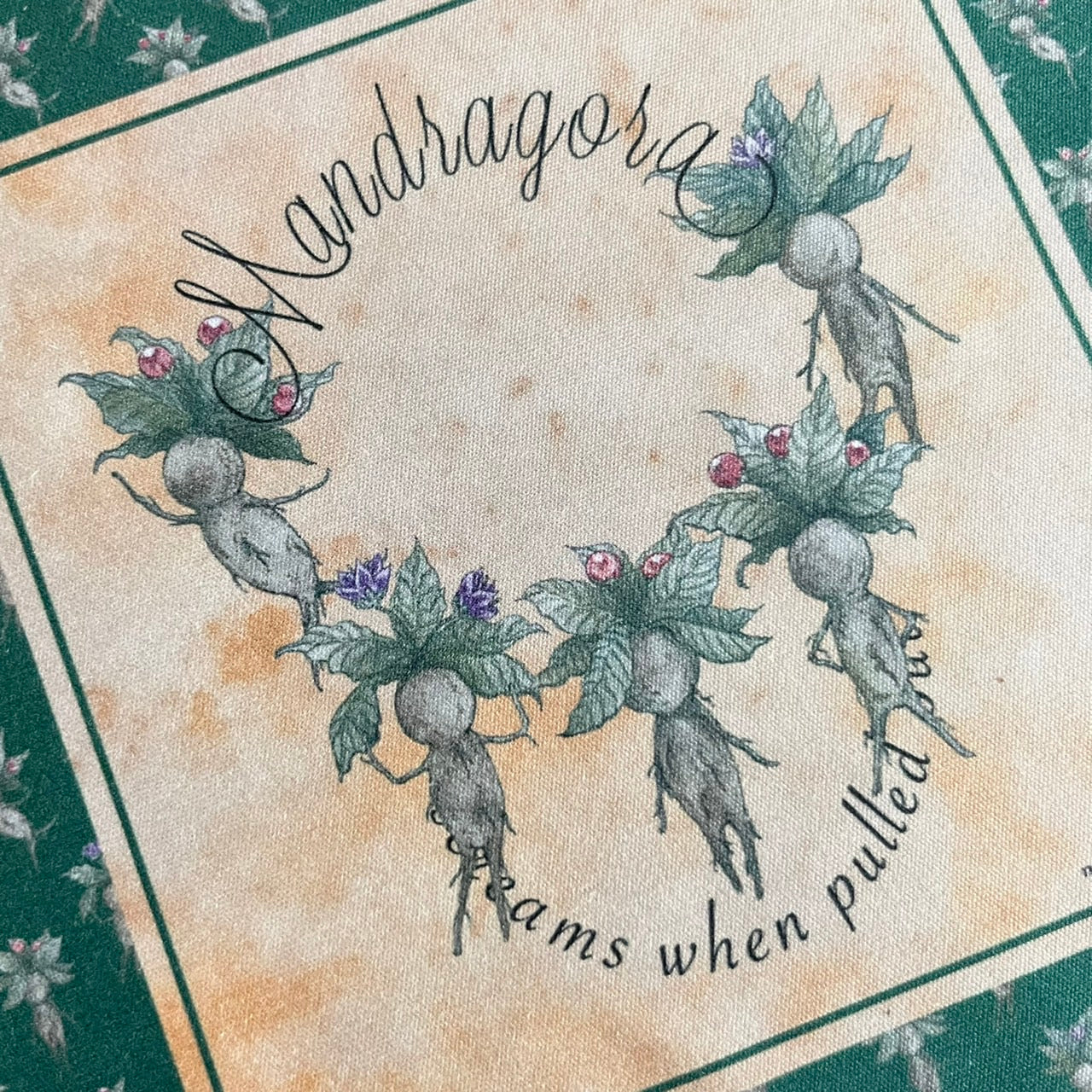 マンドラゴラズ クリーニングクロス