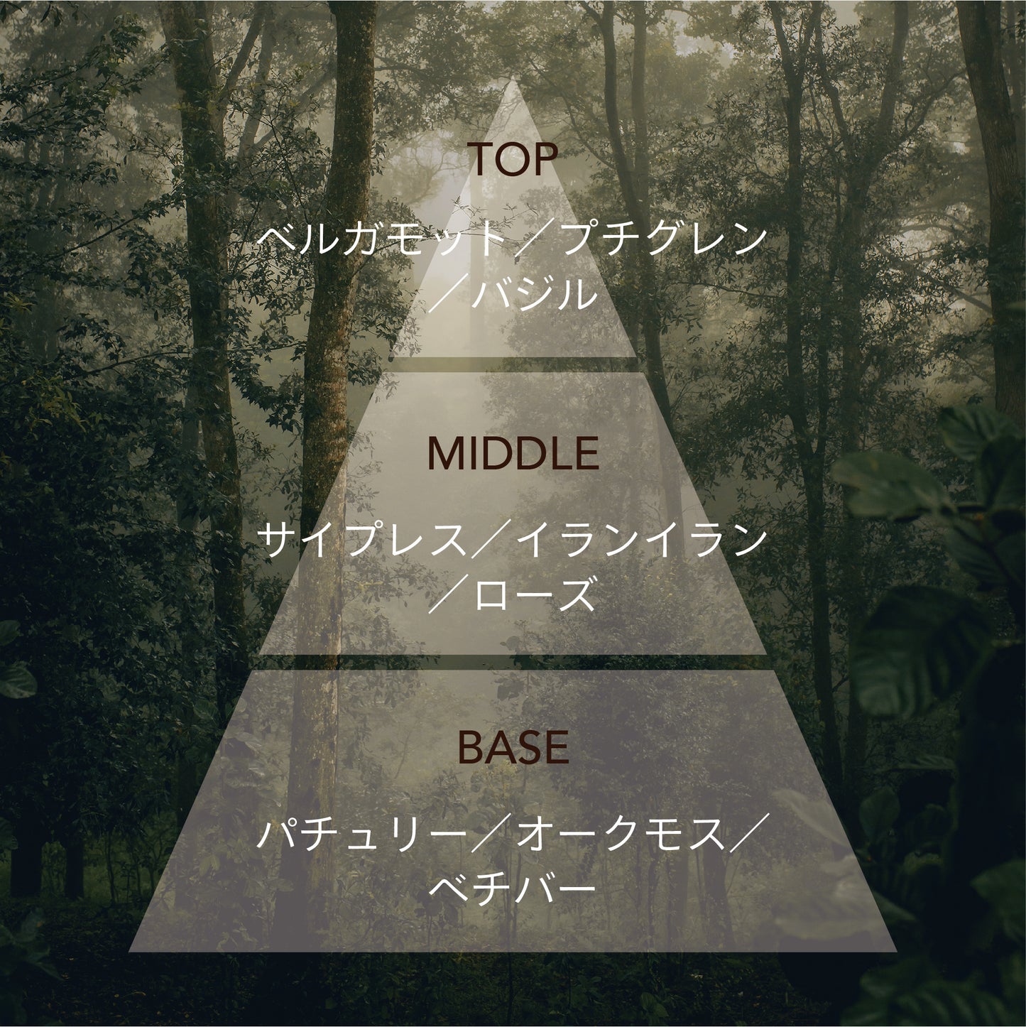 森の香りのナイトタイムオイル《DEEP FOREST》|天然精油・森林浴