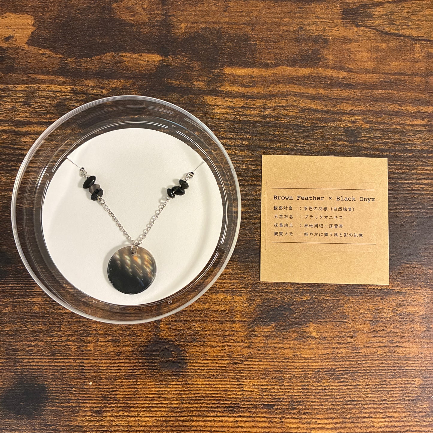 ミクロな星石標本 — Memory Collection —