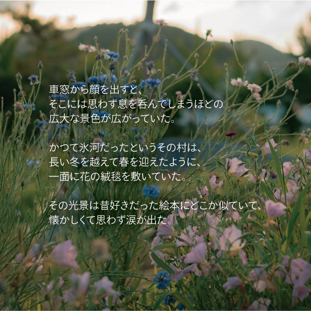 花畑広がるナイトタイムオイル《flower hill》|天然精油・爽やかな花の香り