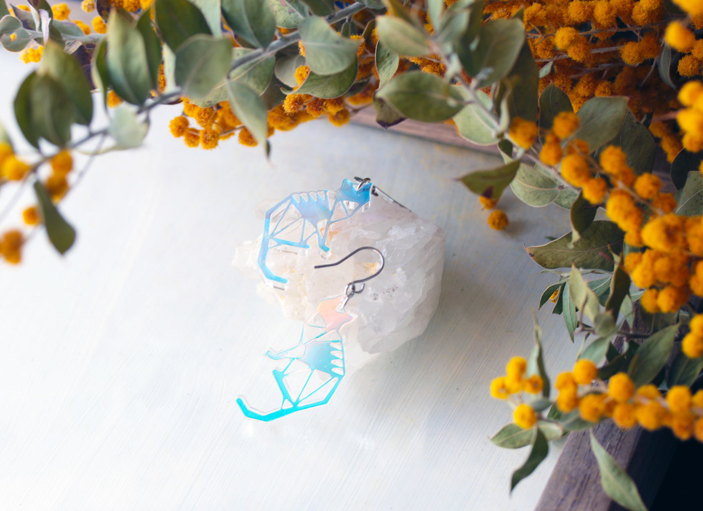 宙色のキカガクネコ イヤリング・ピアス