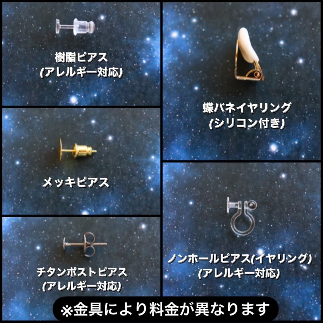 宙のカケラピアス/イヤリング