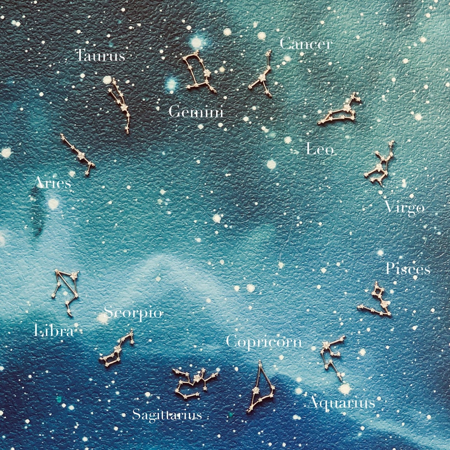 星の印 12星座ピアス&イヤリング/Silver