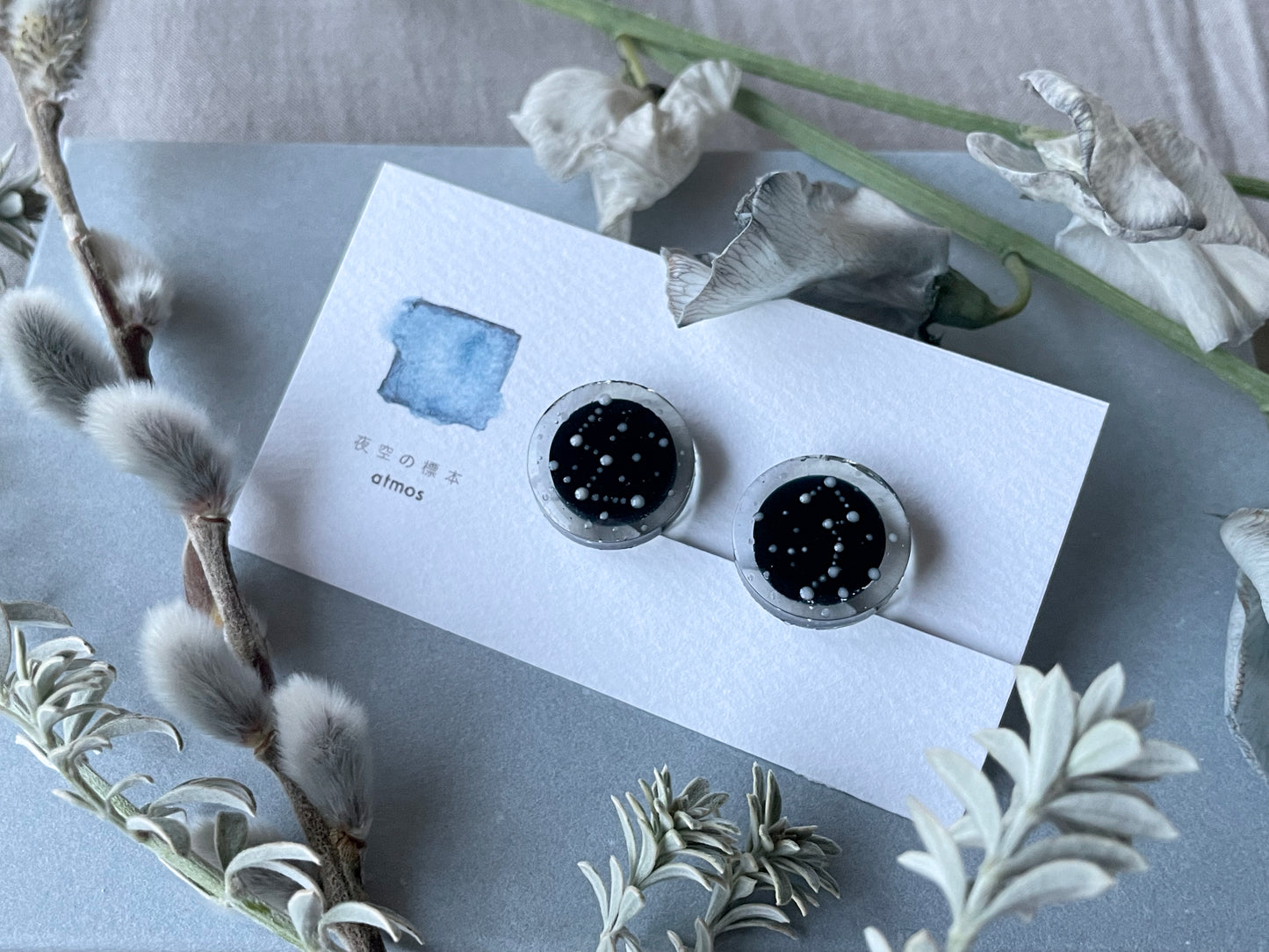 【ピアス&イヤリング】夜空の標本