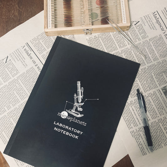 microplanets 実験ノート