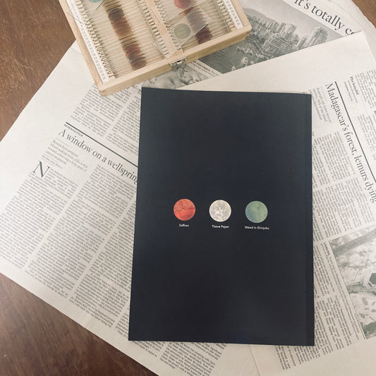 microplanets 実験ノート