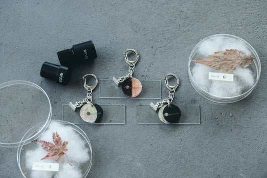 【MyMoon】microplanets-lunar  月の落とし物