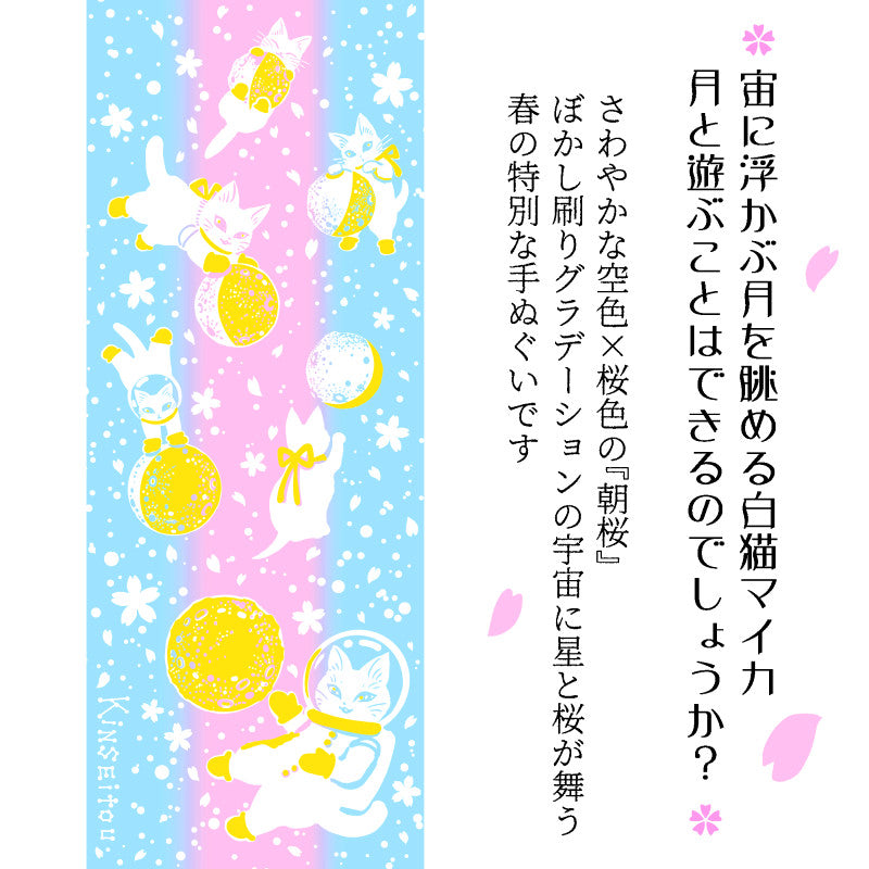 【選べる2色セット】手ぬぐい　白猫マイカ月の戯れ　桜　2色セット