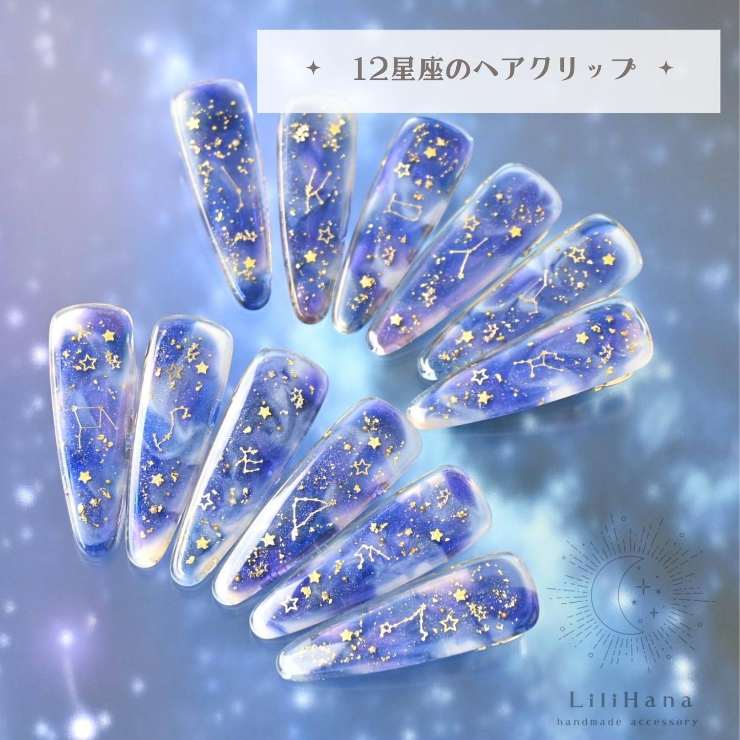 12星座のヘアクリップ