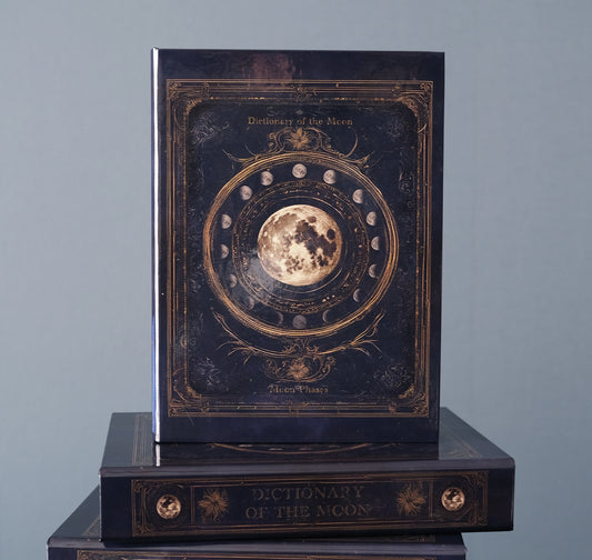 【小物入れ】魔法の本のようなブックボックス "月の図鑑"