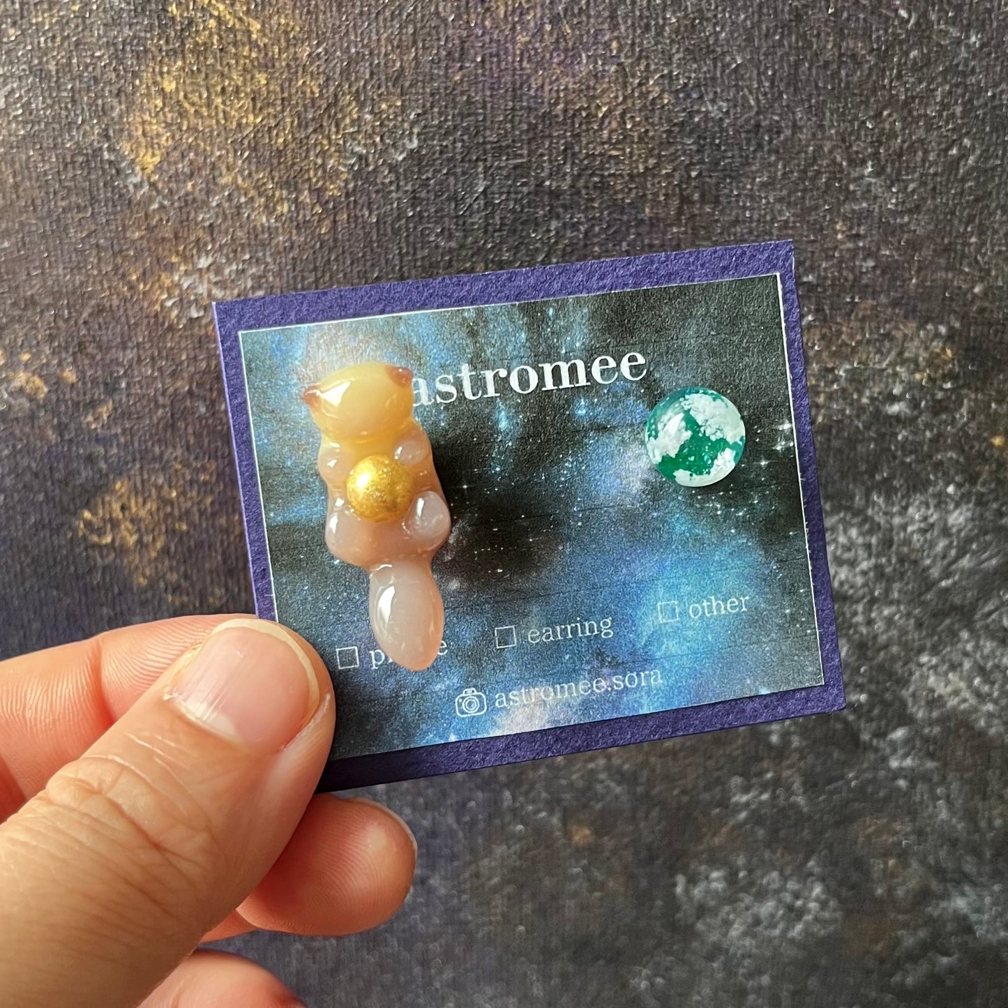 満月と旅するラッコの宇宙旅行