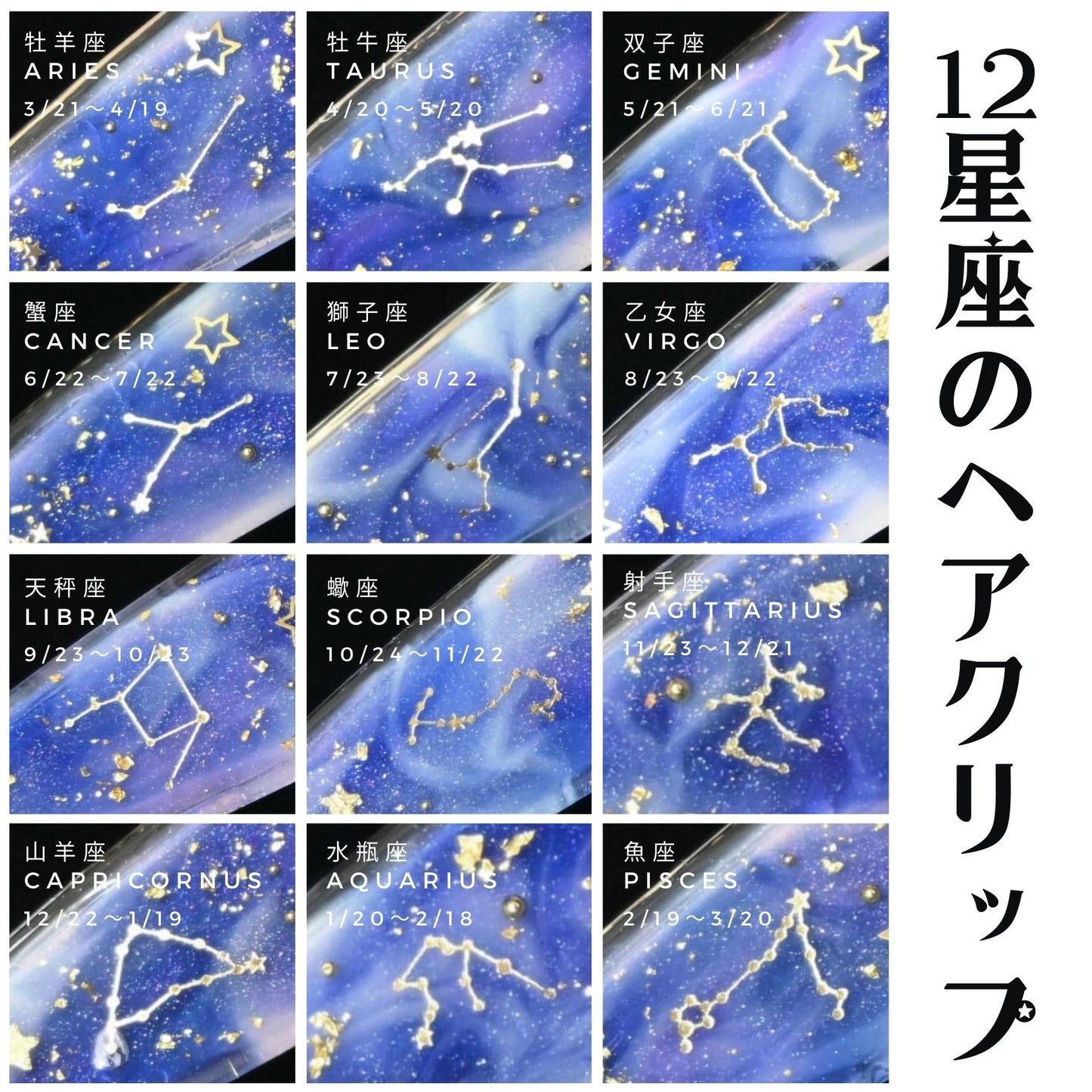 12星座のヘアクリップ