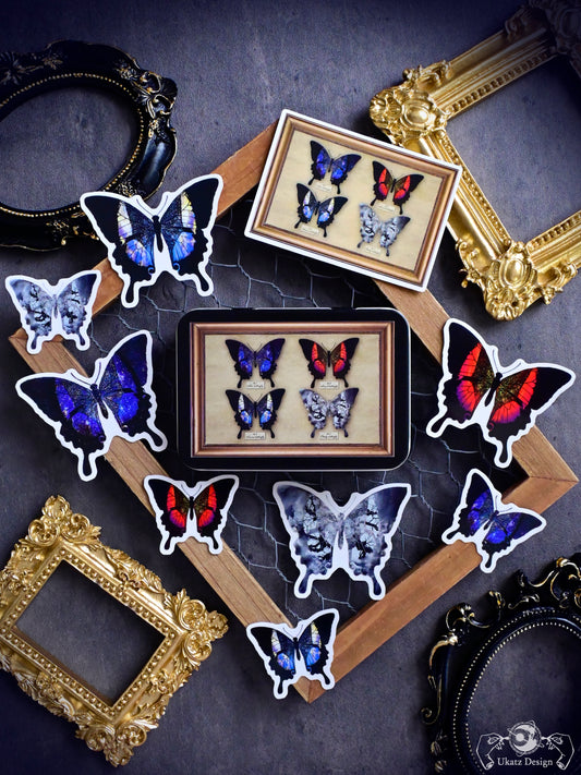 星蝶標本 缶ケース＆ステッカーセット