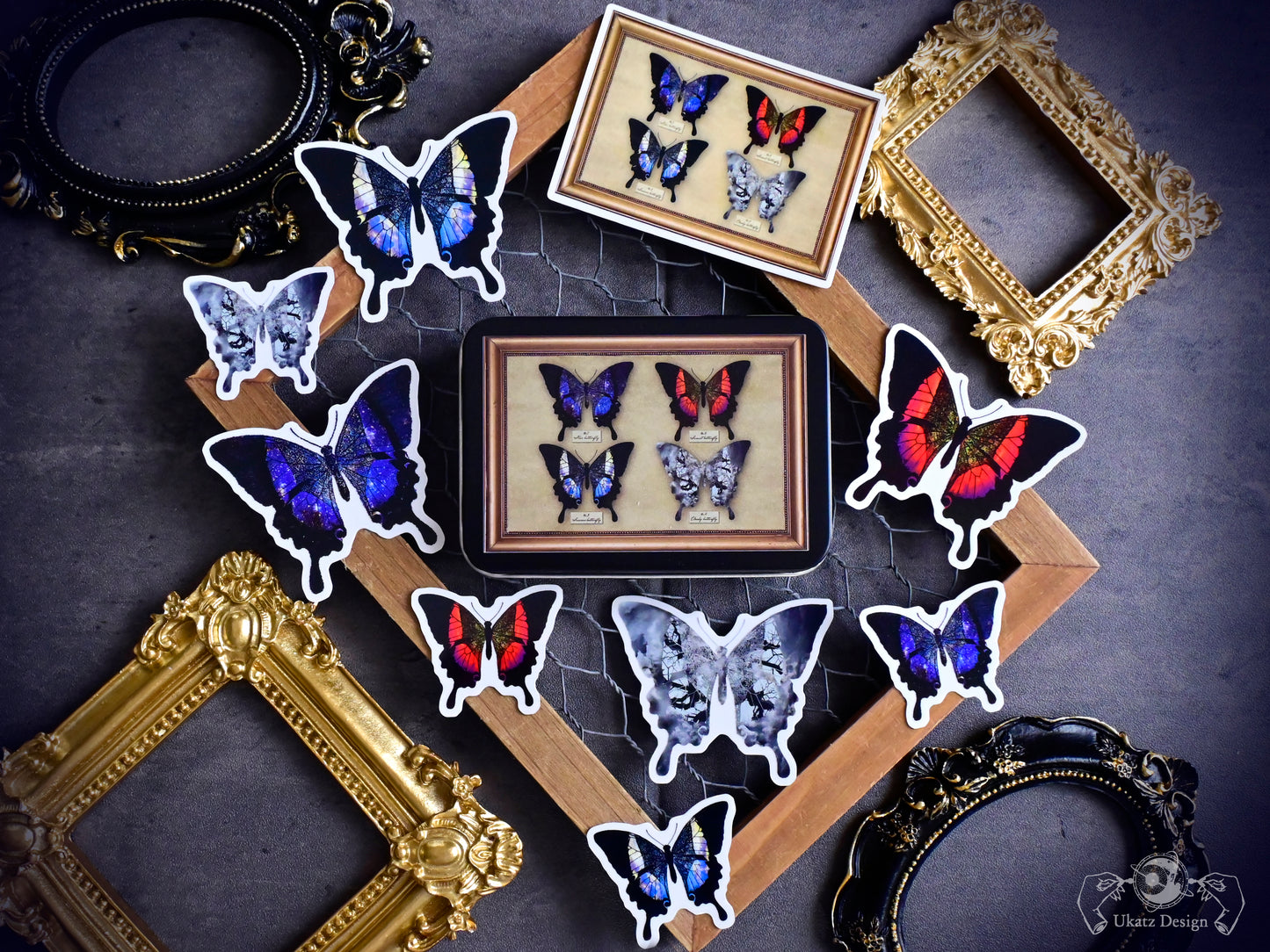 星蝶標本 缶ケース＆ステッカーセット