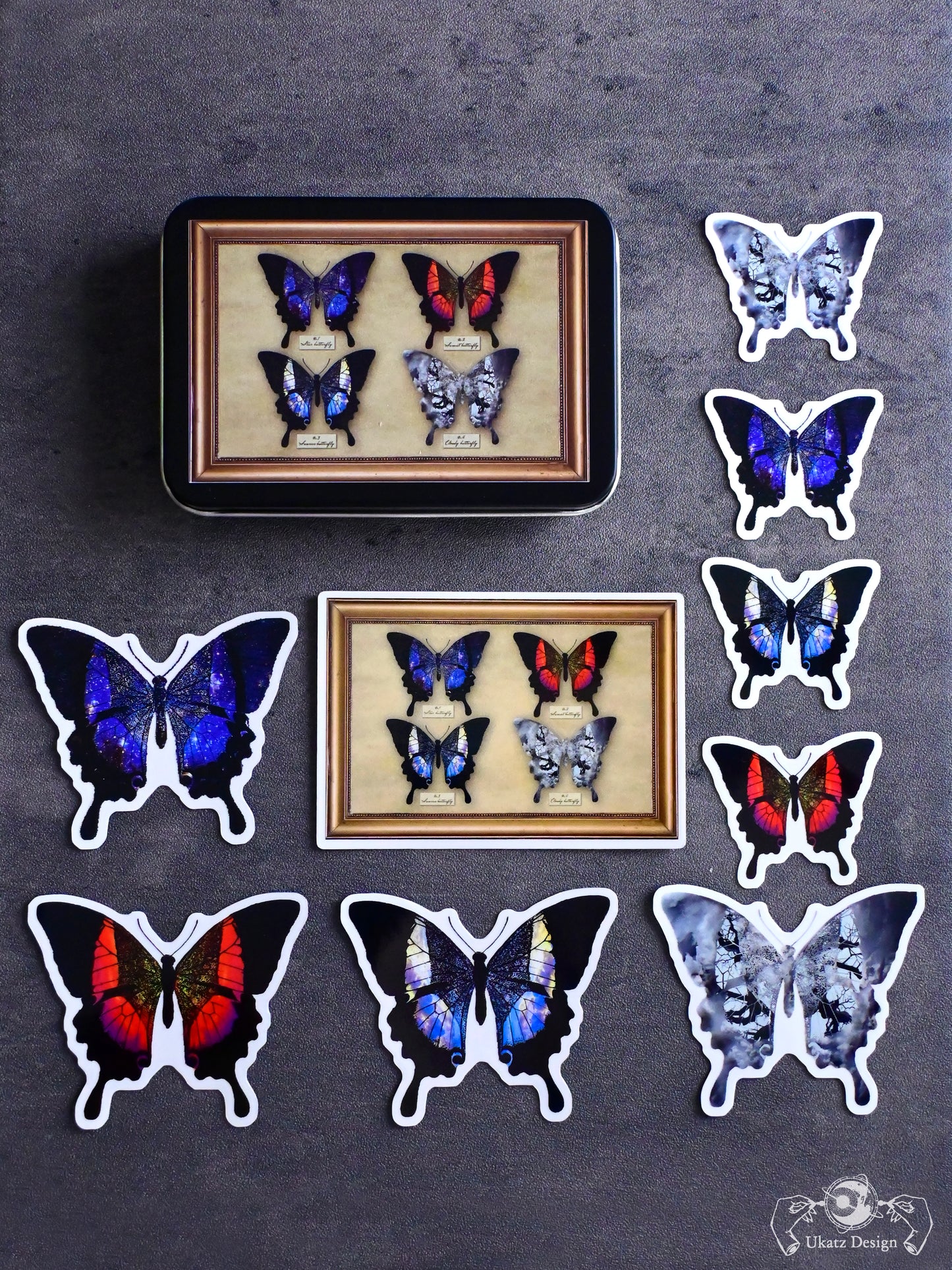 星蝶標本 缶ケース＆ステッカーセット