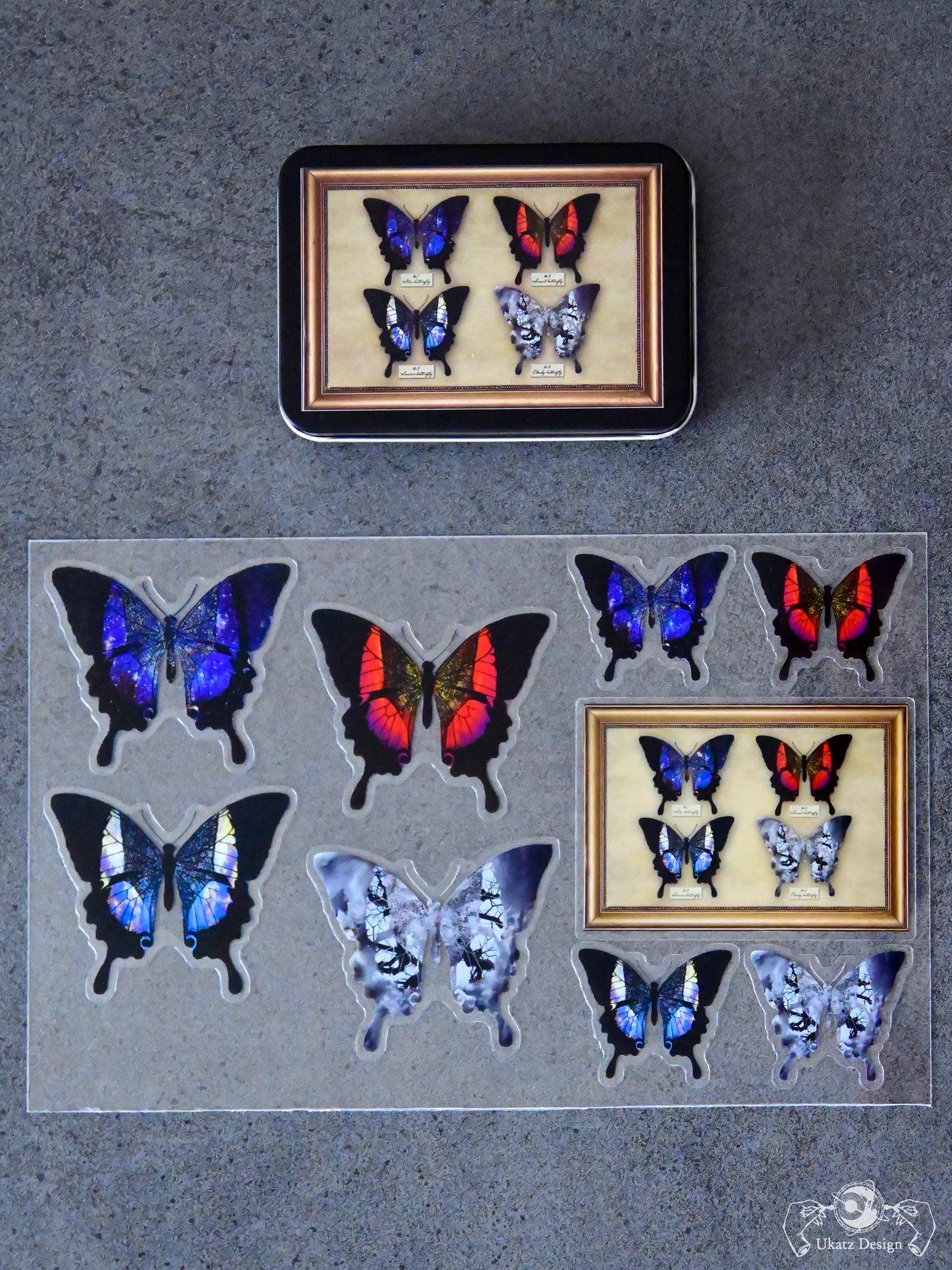 星蝶標本 缶ケース＆ステッカーセット