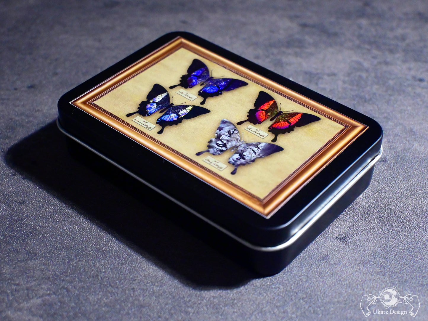 星蝶標本 缶ケース＆ステッカーセット