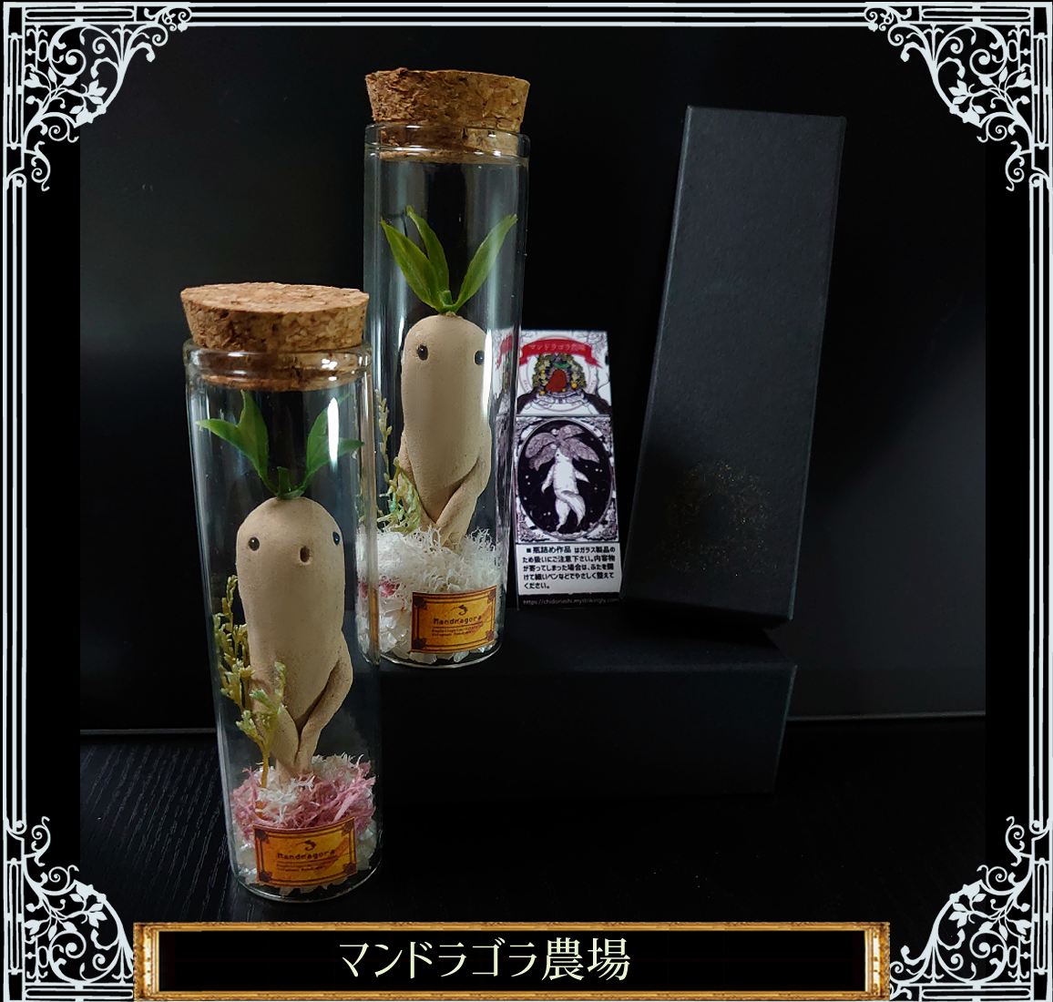 雪綿のマンドラゴラの瓶詰め