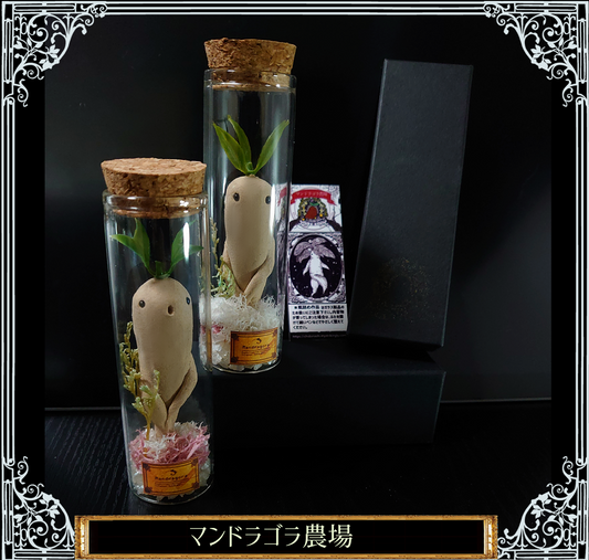 雪綿のマンドラゴラの瓶詰め