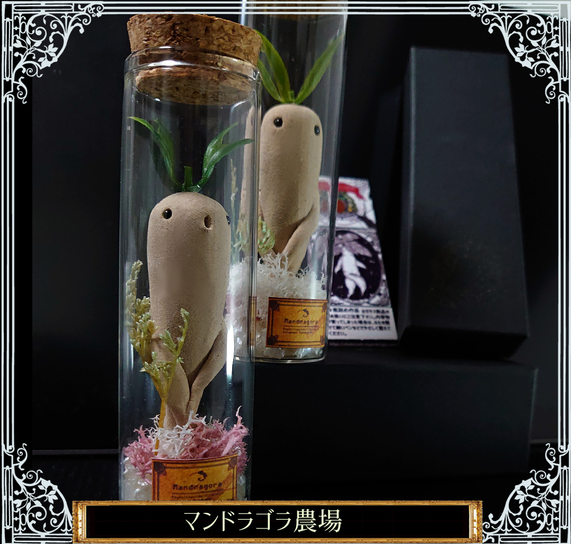 雪綿のマンドラゴラの瓶詰め