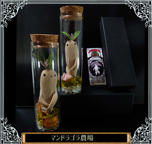 <怪奇植物誌>マンドラゴラ夢想（全初版レア‼️）3冊セット 開花マンドラゴラの瓶詰め – 宙フェス夜市