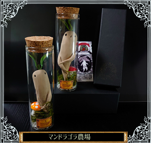 キノコとマンドラゴラの瓶詰め – 宙フェス夜市