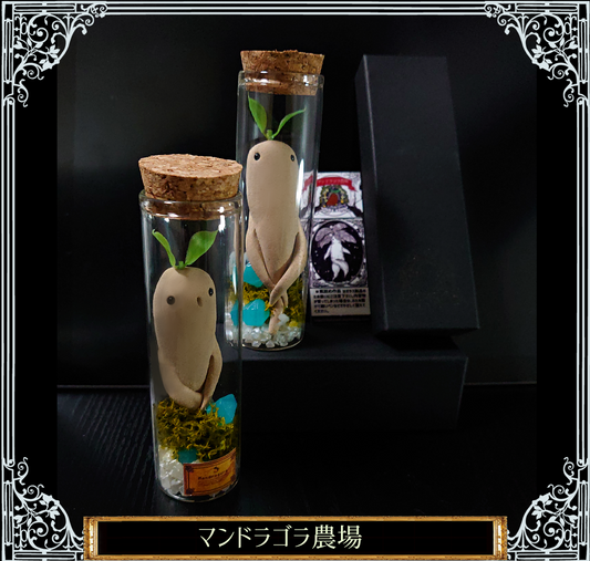 光る鉱石とマンドラゴラの瓶詰め