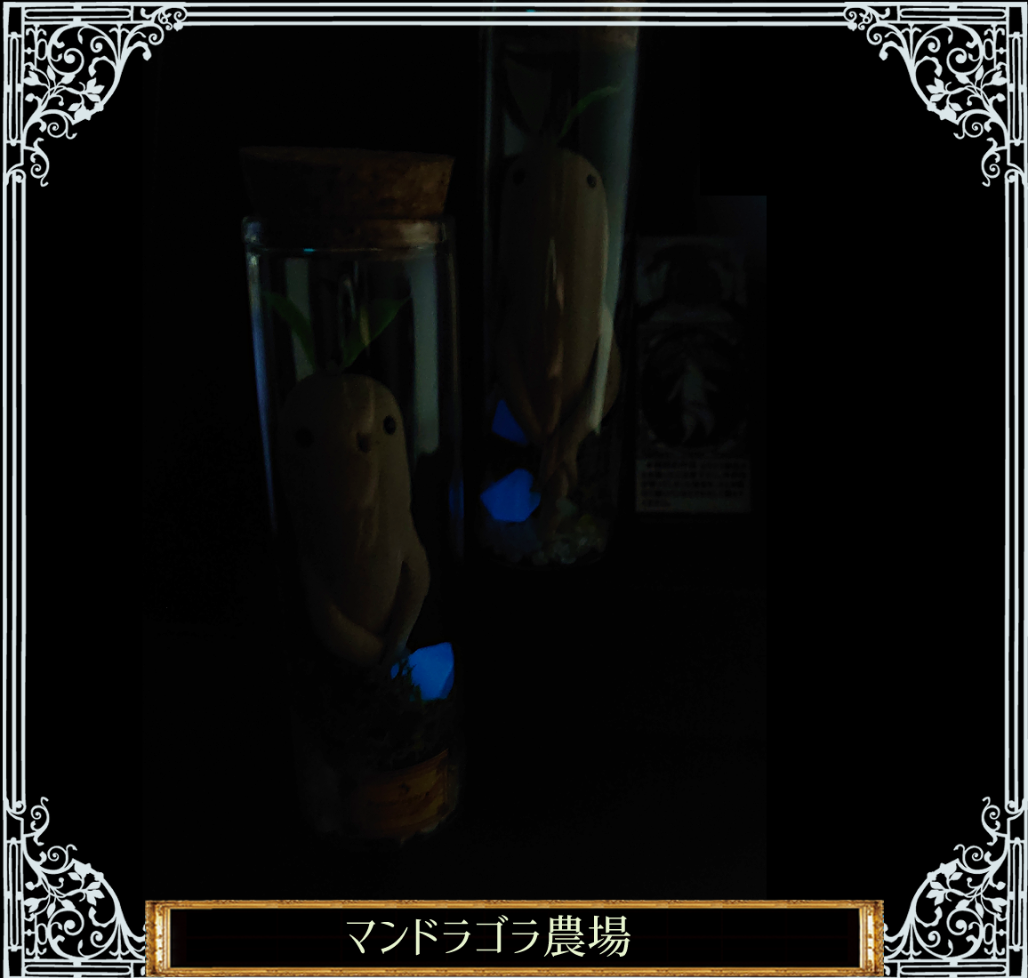 光る鉱石とマンドラゴラの瓶詰め