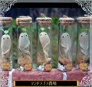 <怪奇植物誌>マンドラゴラ夢想（全初版レア‼️）3冊セット マンドラゴラの瓶詰め – 宙フェス夜市
