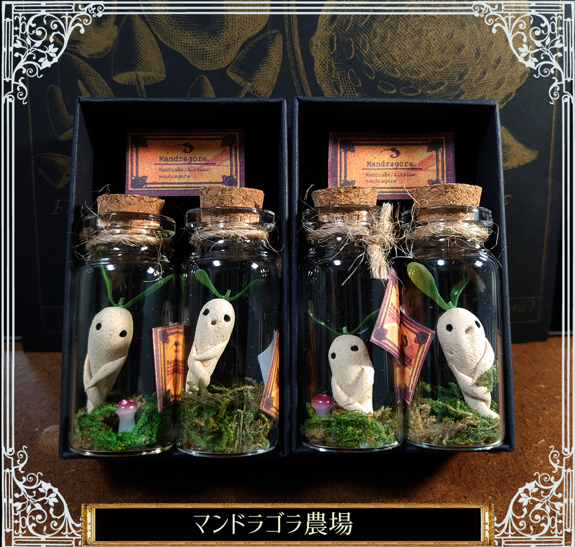 マンドラゴラの小瓶セット