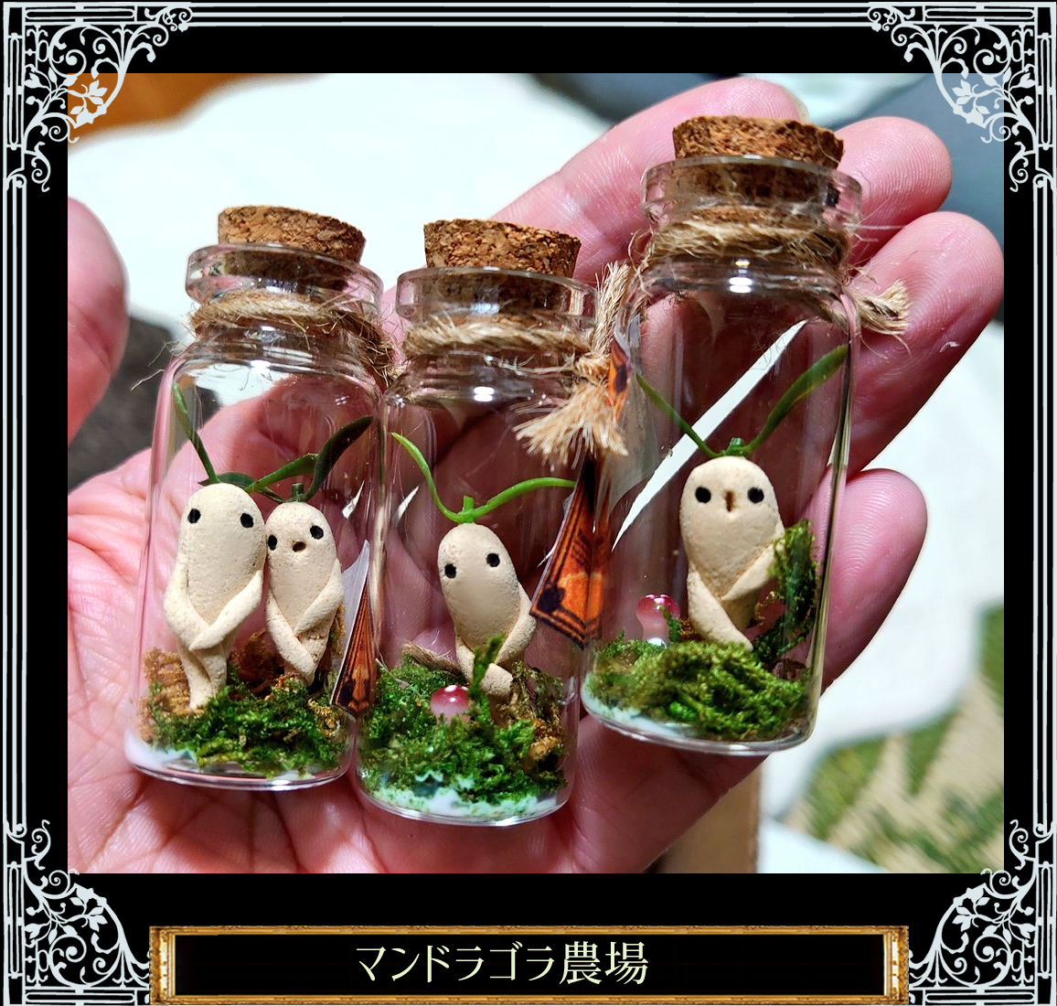 マンドラゴラの小瓶セット