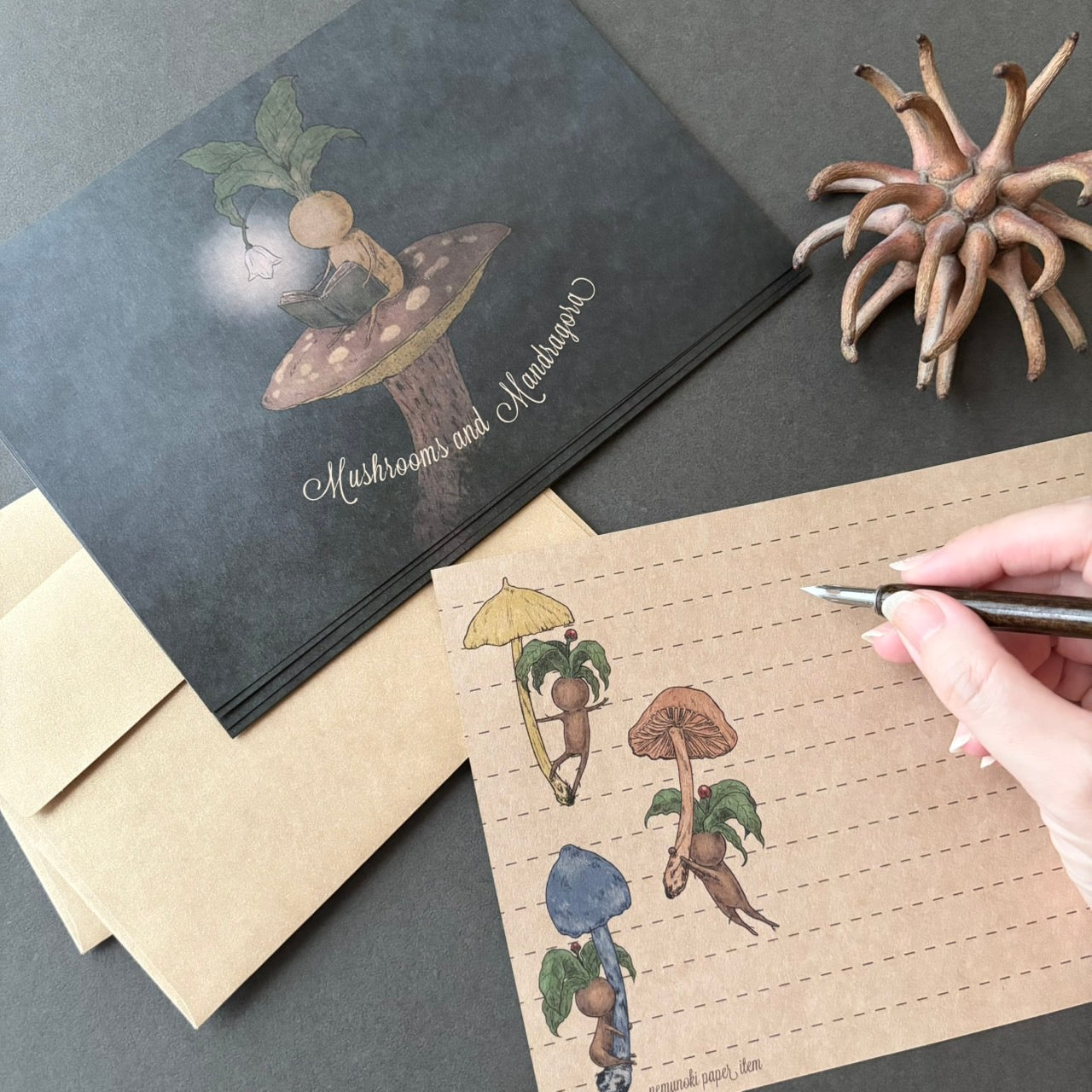 キノコとマンドラゴラ レターセット