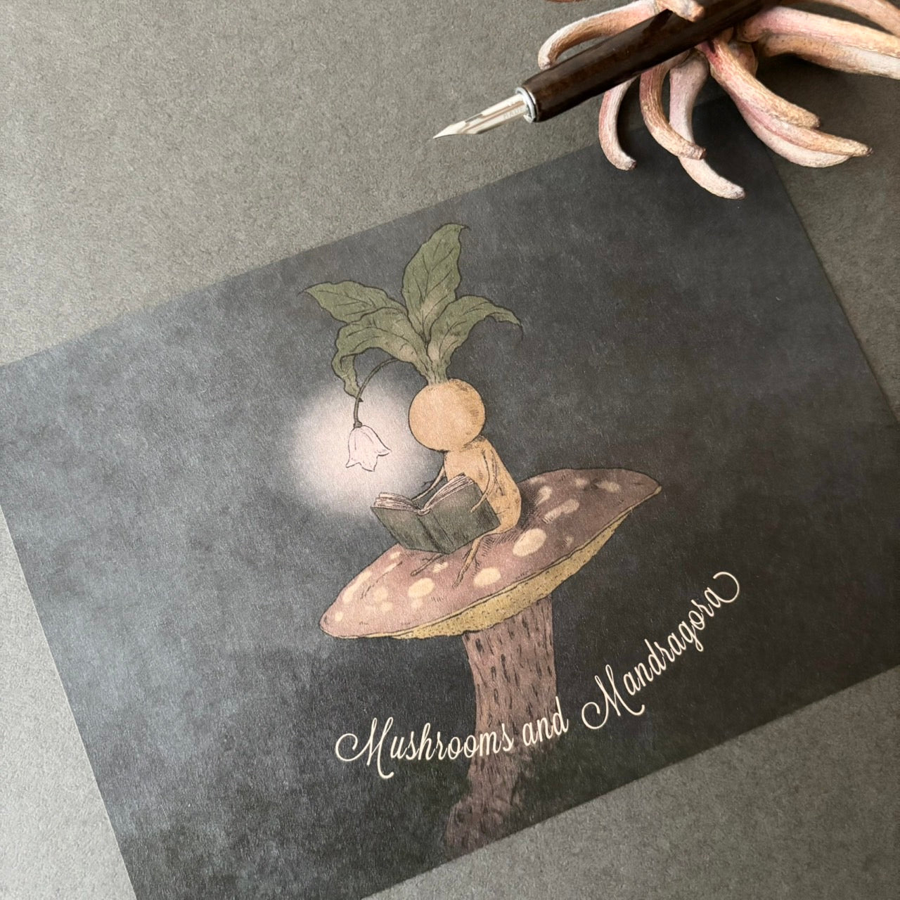 キノコとマンドラゴラ レターセット