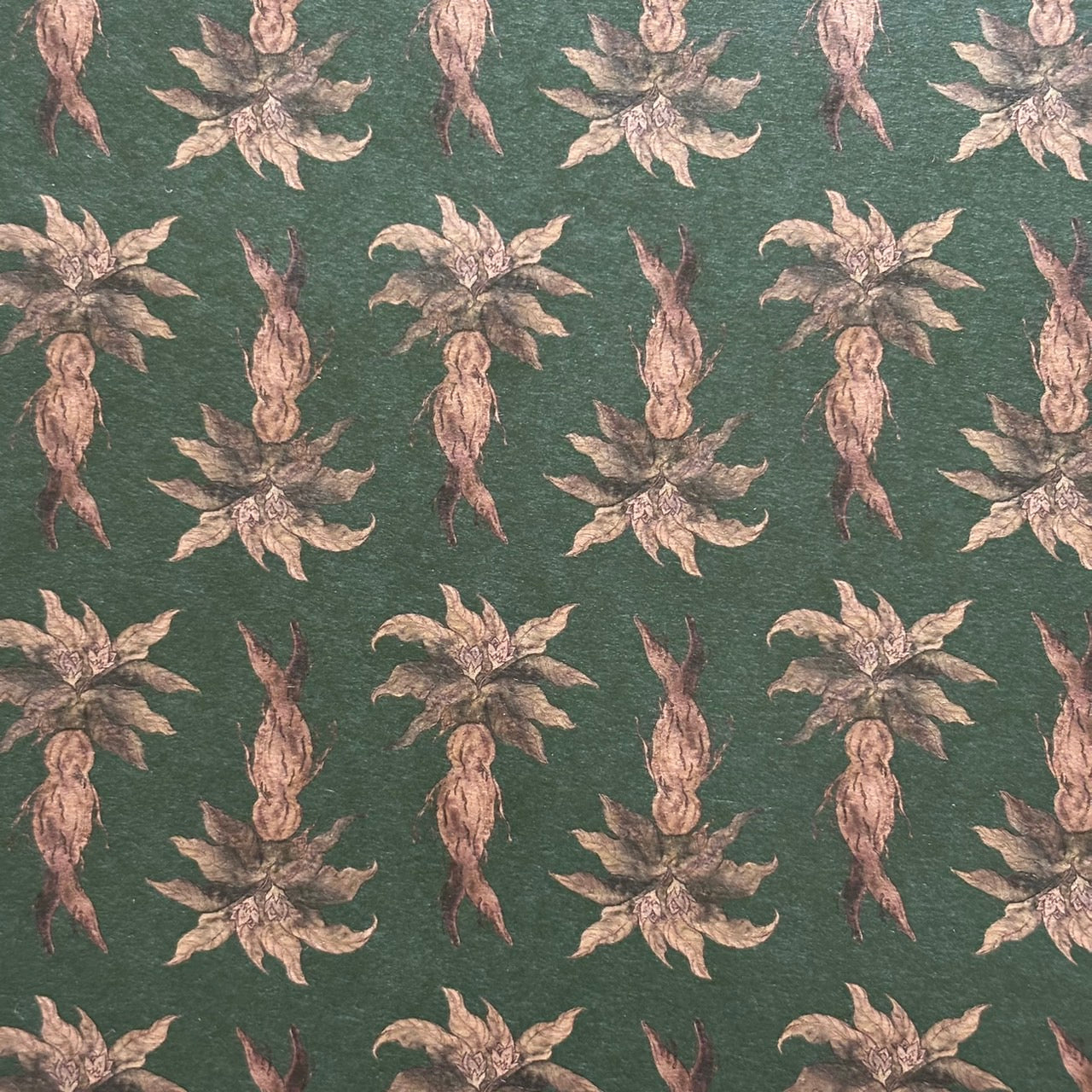 マンドラゴラ 深い森のクラフトペーパー