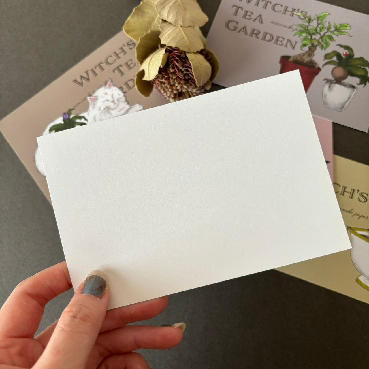 魔女の庭　ポストカードセット