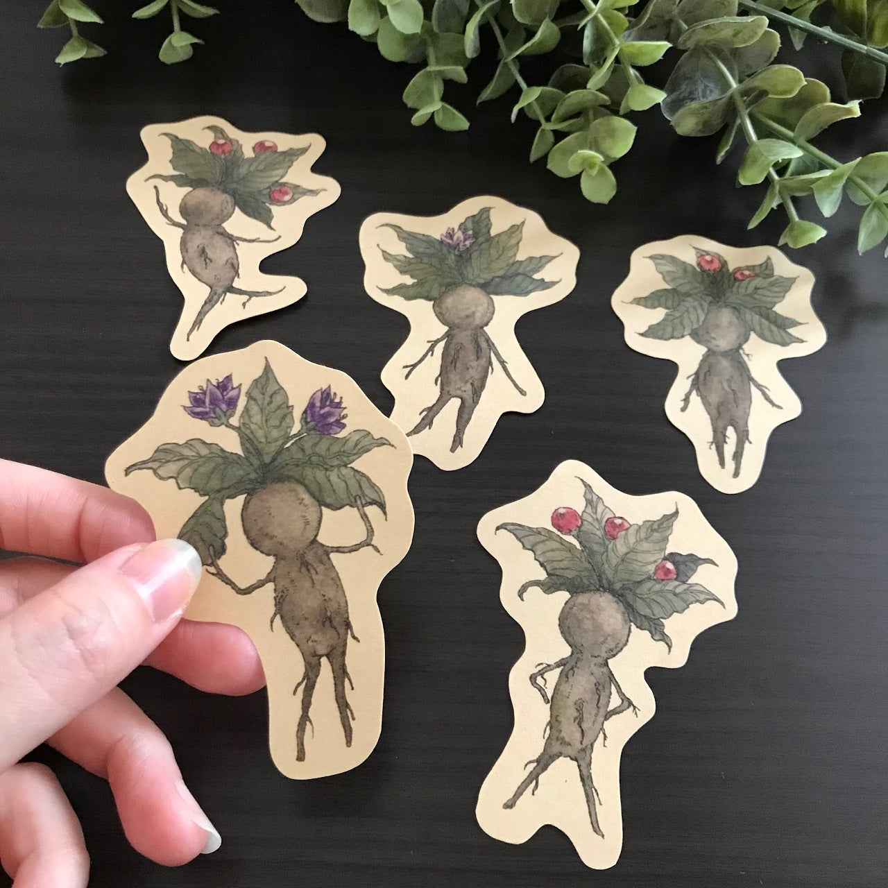 マンドラゴラズ ペーパーステッカー